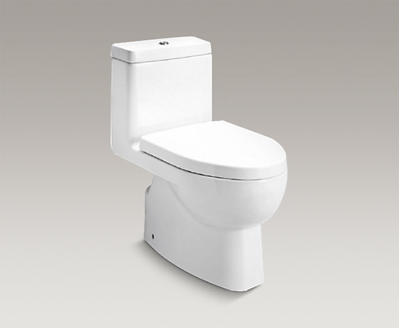 REACH™瑞琦丽裙版