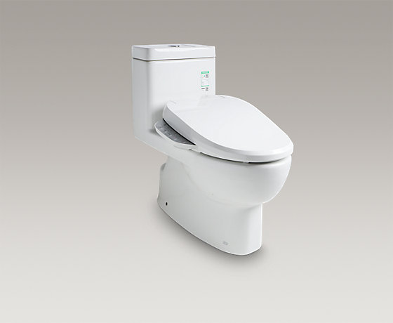齐悦丽裙版一体组合智能座便器
