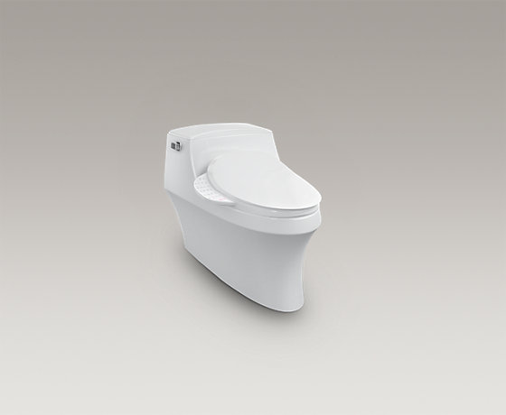 圣拉菲尔致尊版一体组合智能座便器